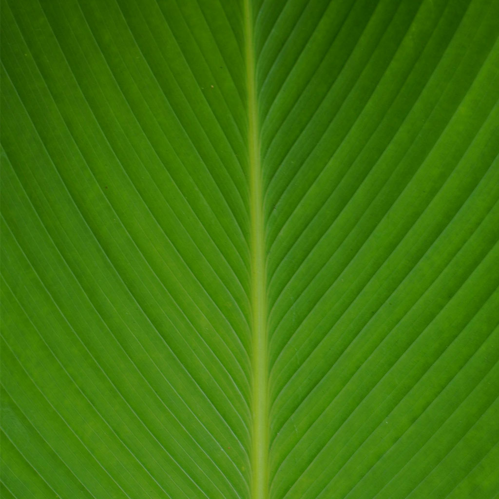 Ehrliche Einschätzung: Ist das CMF brauchbar oder überflüssig?