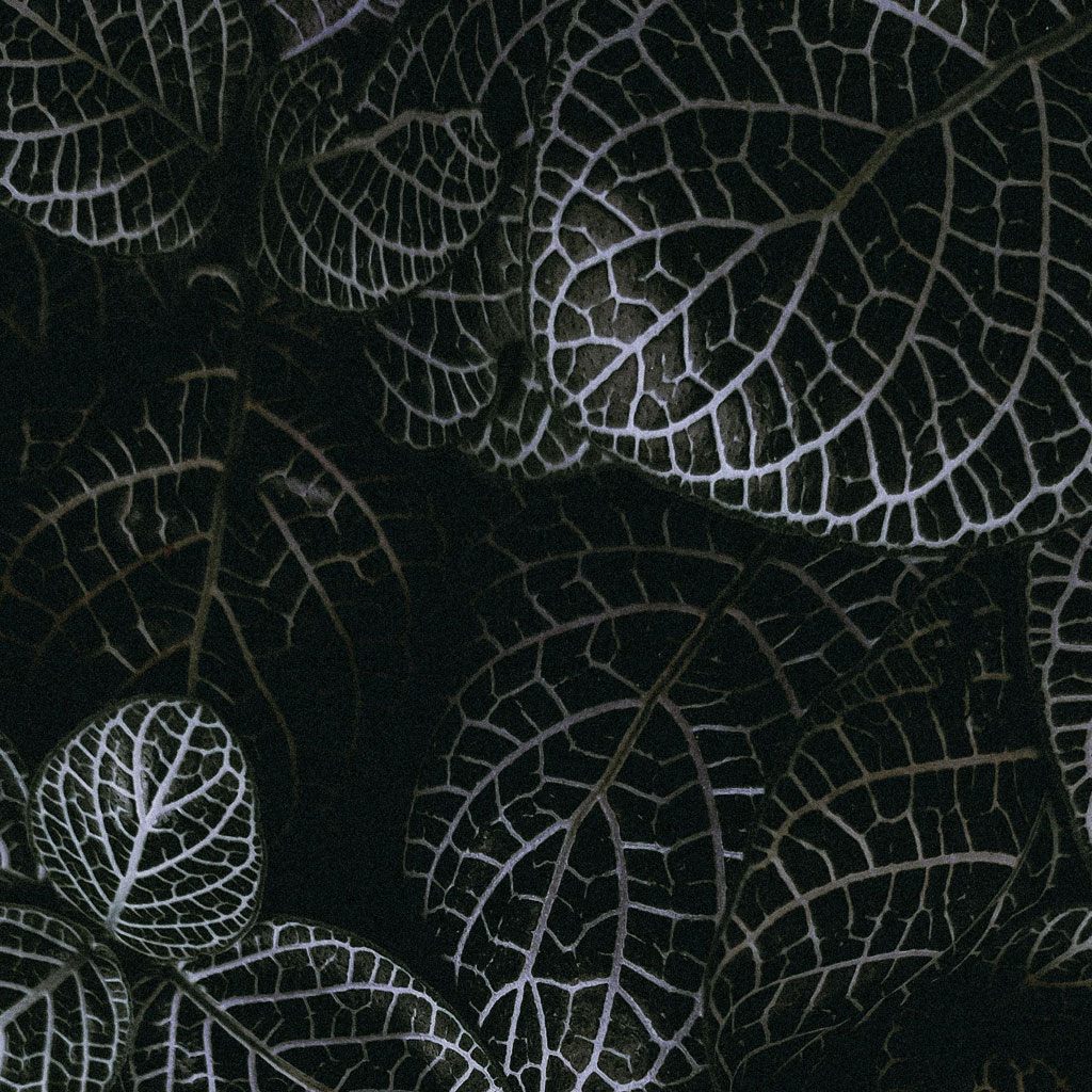 Sicherheit im CMF: Was unter der Haube passiert