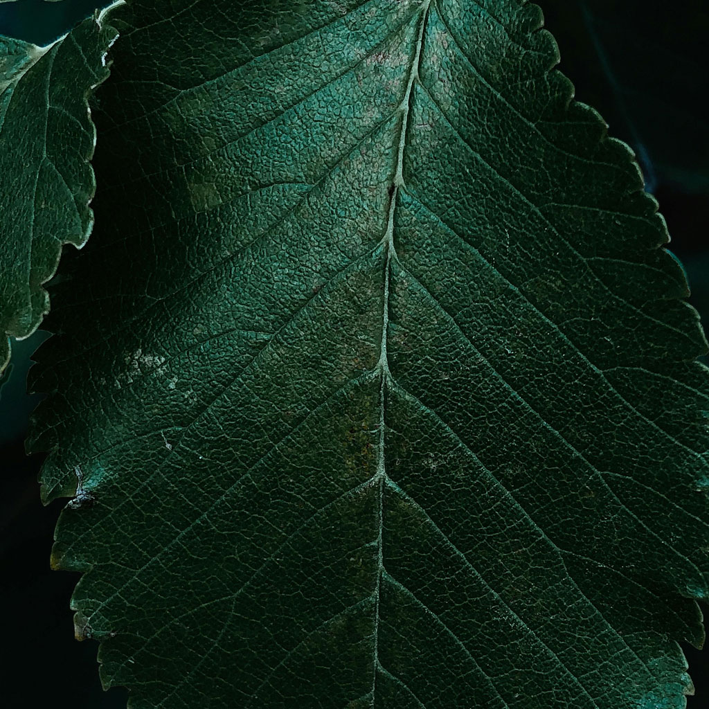 8 Blocktypen, unendliche Möglichkeiten