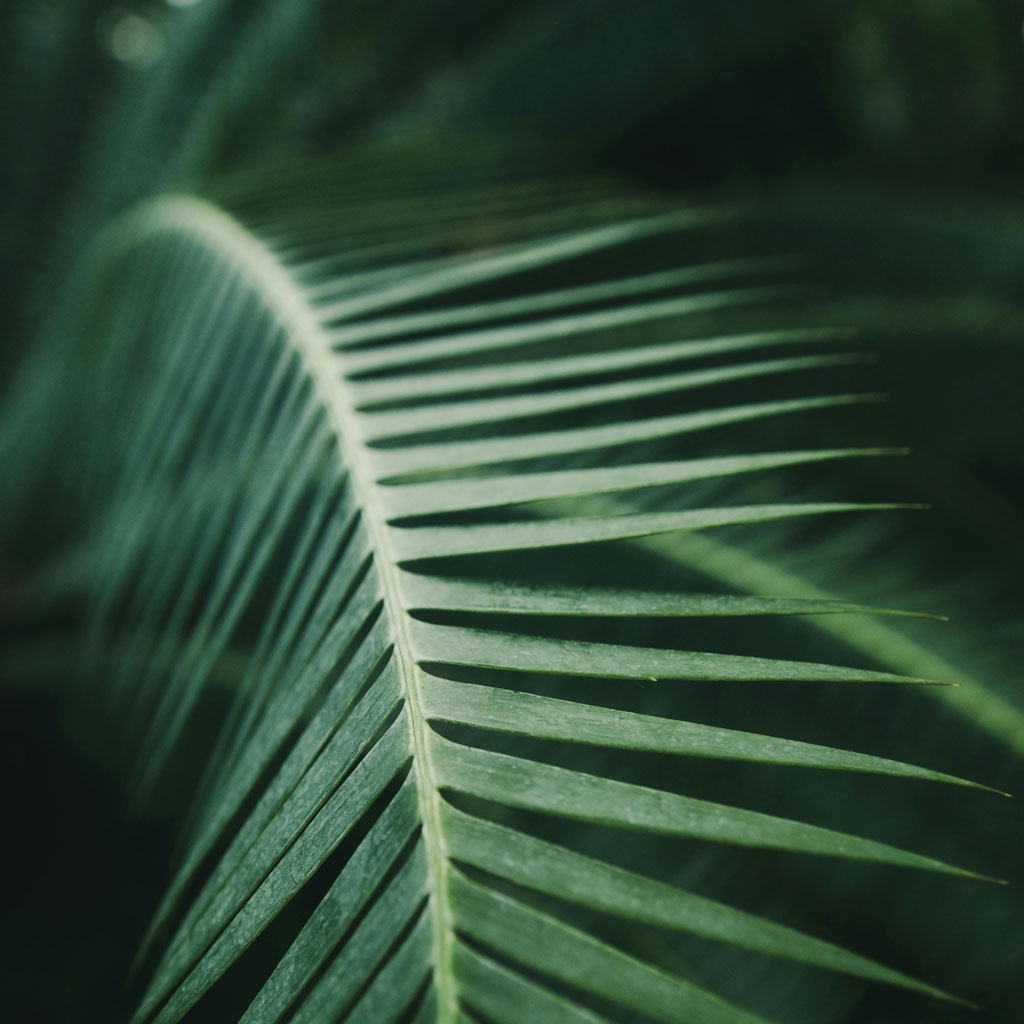 Die API als Superkraft: Was man mit 30 Endpunkten bauen kann