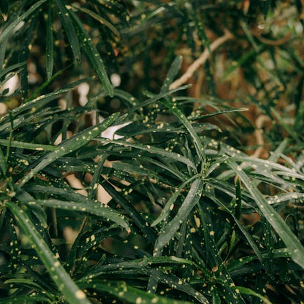 Webseiten migrieren: Ordner kopieren, fertig